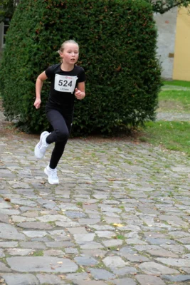 Foto des Albums: 17. Bersenbrücker Hase-Lauf 2026