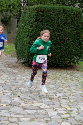 Foto des Albums: 17. Bersenbrücker Hase-Lauf 2026
