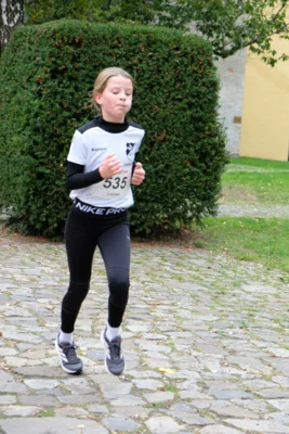 Foto des Albums: 17. Bersenbrücker Hase-Lauf 2026