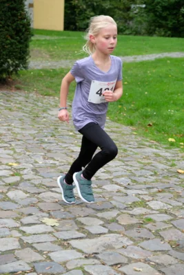 Foto des Albums: 17. Bersenbrücker Hase-Lauf 2026
