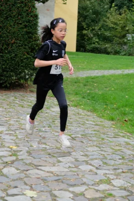Foto des Albums: 17. Bersenbrücker Hase-Lauf 2026