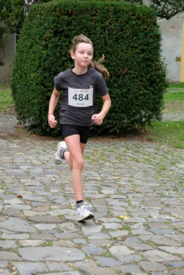 Foto des Albums: 17. Bersenbrücker Hase-Lauf 2026