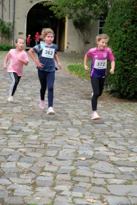 Foto des Albums: 17. Bersenbrücker Hase-Lauf 2026
