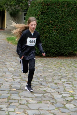 Foto des Albums: 17. Bersenbrücker Hase-Lauf 2026