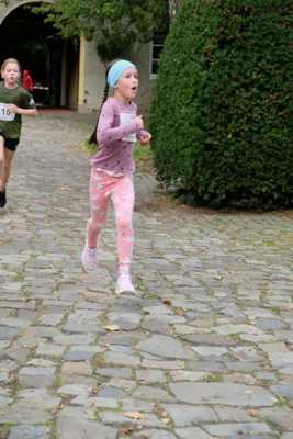 Foto des Albums: 17. Bersenbrücker Hase-Lauf 2026