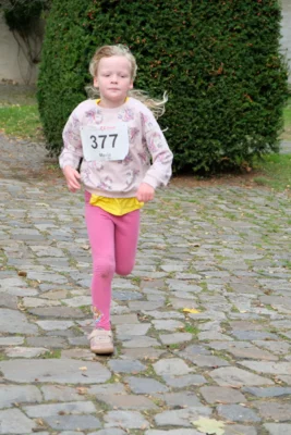 Foto des Albums: 17. Bersenbrücker Hase-Lauf 2026