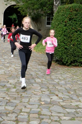 Foto des Albums: 17. Bersenbrücker Hase-Lauf 2026
