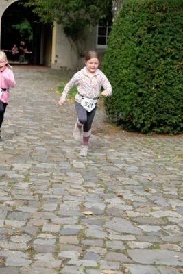 Foto des Albums: 17. Bersenbrücker Hase-Lauf 2026