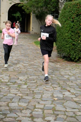 Foto des Albums: 17. Bersenbrücker Hase-Lauf 2026