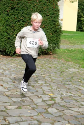 Foto des Albums: 17. Bersenbrücker Hase-Lauf 2026