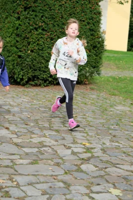 Foto des Albums: 17. Bersenbrücker Hase-Lauf 2026