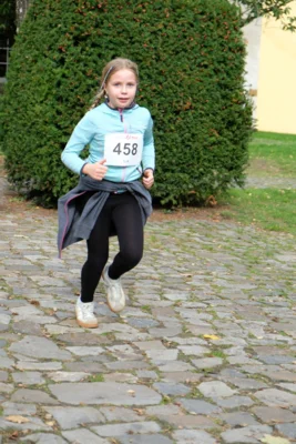 Foto des Albums: 17. Bersenbrücker Hase-Lauf 2026