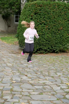Foto des Albums: 17. Bersenbrücker Hase-Lauf 2026