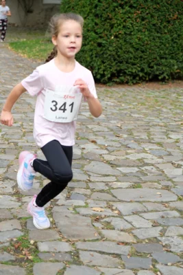 Foto des Albums: 17. Bersenbrücker Hase-Lauf 2026