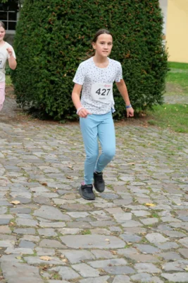 Foto des Albums: 17. Bersenbrücker Hase-Lauf 2026