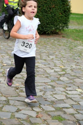 Foto des Albums: 17. Bersenbrücker Hase-Lauf 2026
