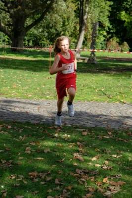 Foto des Albums: 17. Bersenbrücker Hase-Lauf 2026