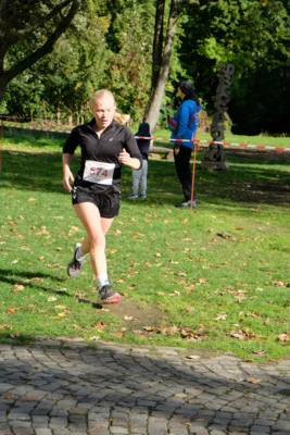 Foto des Albums: 17. Bersenbrücker Hase-Lauf 2026