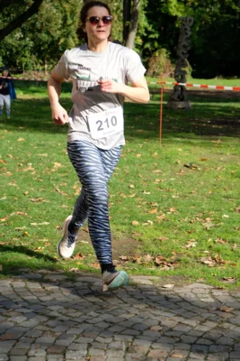 Foto des Albums: 17. Bersenbrücker Hase-Lauf 2026