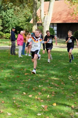 Foto des Albums: 17. Bersenbrücker Hase-Lauf 2026
