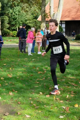 Foto des Albums: 17. Bersenbrücker Hase-Lauf 2026