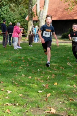 Foto des Albums: 17. Bersenbrücker Hase-Lauf 2026