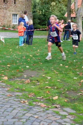 Foto des Albums: 17. Bersenbrücker Hase-Lauf 2026