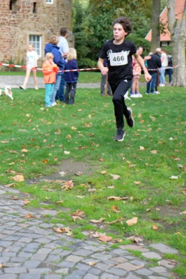 Foto des Albums: 17. Bersenbrücker Hase-Lauf 2026