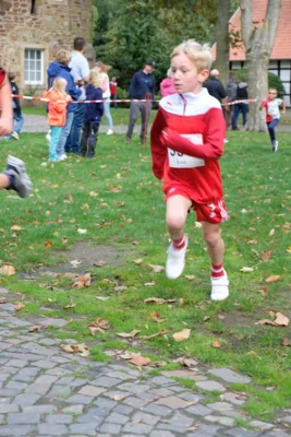 Foto des Albums: 17. Bersenbrücker Hase-Lauf 2026