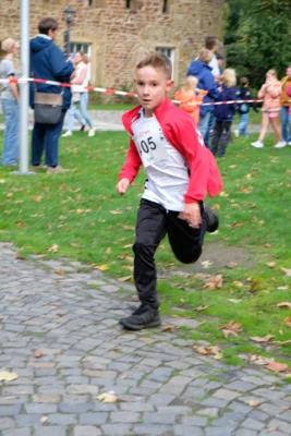Foto des Albums: 17. Bersenbrücker Hase-Lauf 2026