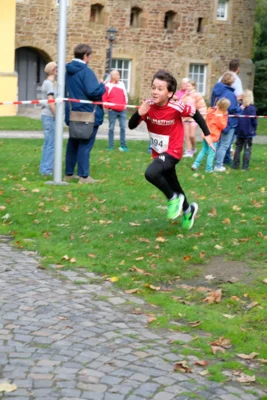 Foto des Albums: 17. Bersenbrücker Hase-Lauf 2026