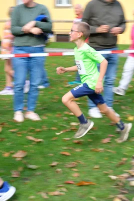 Foto des Albums: 17. Bersenbrücker Hase-Lauf 2026