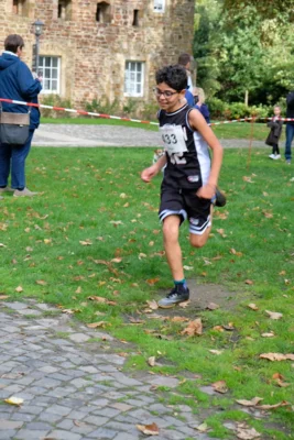 Foto des Albums: 17. Bersenbrücker Hase-Lauf 2026