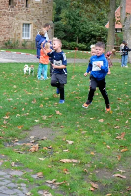 Foto des Albums: 17. Bersenbrücker Hase-Lauf 2026