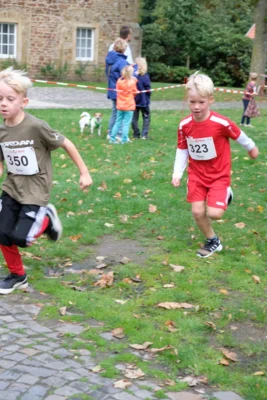 Foto des Albums: 17. Bersenbrücker Hase-Lauf 2026
