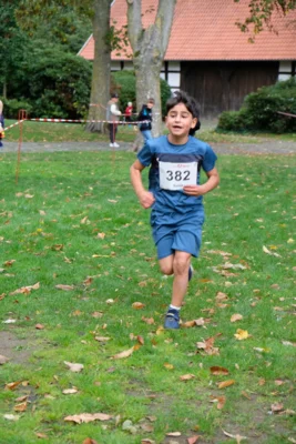 Foto des Albums: 17. Bersenbrücker Hase-Lauf 2026