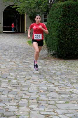 Foto des Albums: 17. Bersenbrücker Hase-Lauf 2026