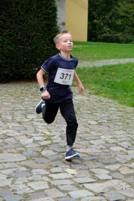 Foto des Albums: 17. Bersenbrücker Hase-Lauf 2026