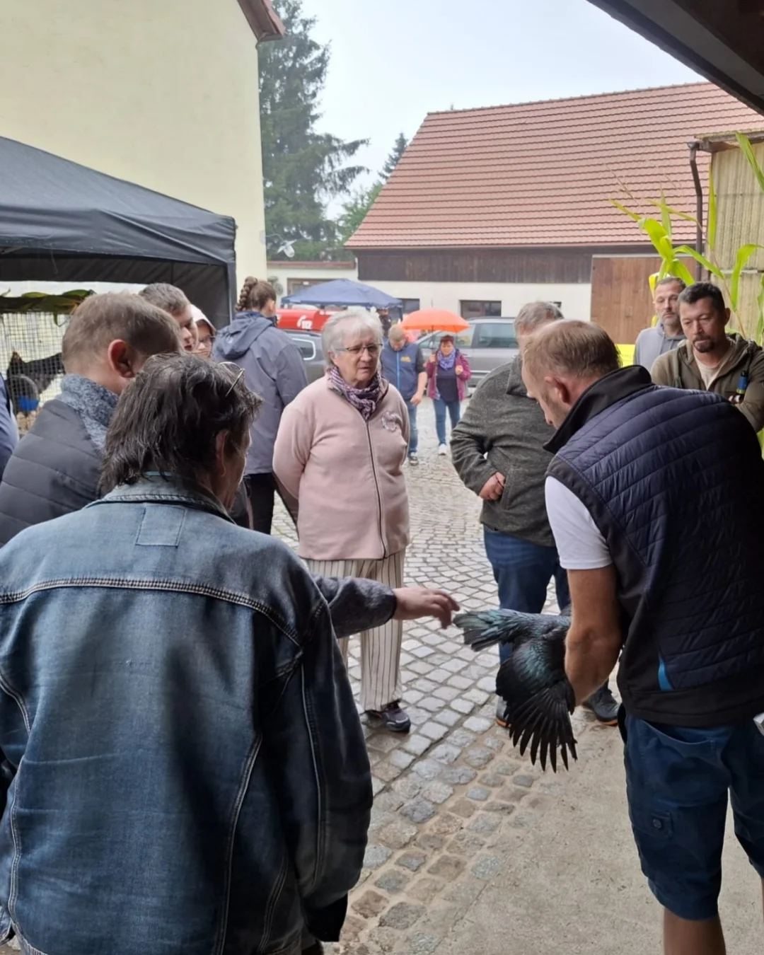 Bild der Galerie
