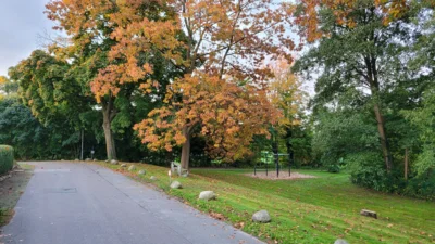 Foto des Albums: Herbstbilder