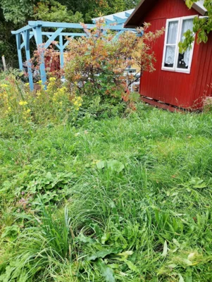 vorher 