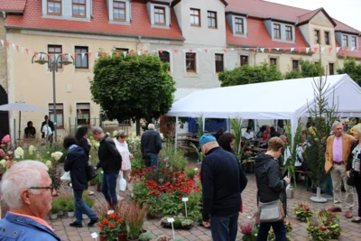 Ein H&auml;ndler verwandelte einen Teil des Entenplans regelrecht in einen Garten. Sehr geschmackvoll!  (Bild vergr&ouml;&szlig;ern)