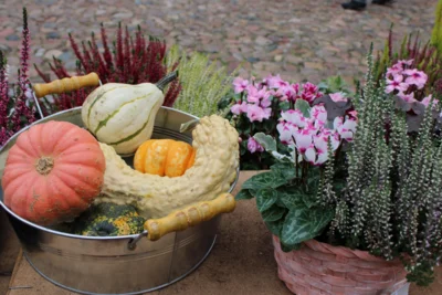 Herbstliche Dekorationen findet man beim Bauernmarkt &uuml;berall.  (Bild vergr&ouml;&szlig;ern)