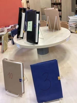 die verpackten B&uuml;cher 