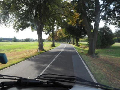 Fahrt nach Mirow durch mecklenburgische Alleen 