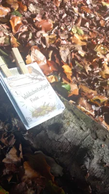 Foto des Albums: Auf Schatzsuche im Erler Wald