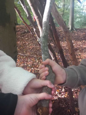 Foto des Albums: Auf Schatzsuche im Erler Wald