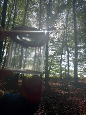 Foto des Albums: Auf Schatzsuche im Erler Wald