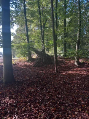 Foto des Albums: Auf Schatzsuche im Erler Wald