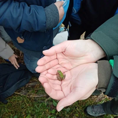Foto des Albums: Projekttag Naturparkschule Fließgewässer